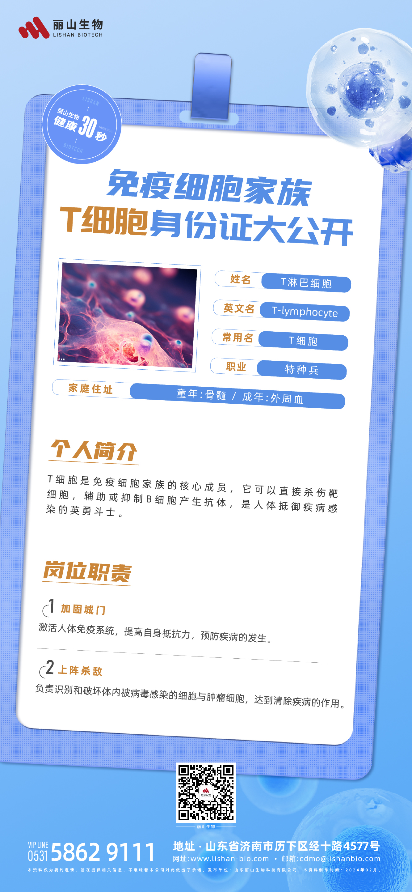 0222 健康30s-T細(xì)胞.jpg